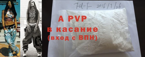 гидра Белокуриха