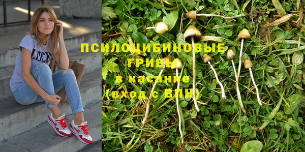 гидра Белокуриха