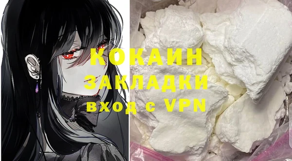 гидра Белокуриха