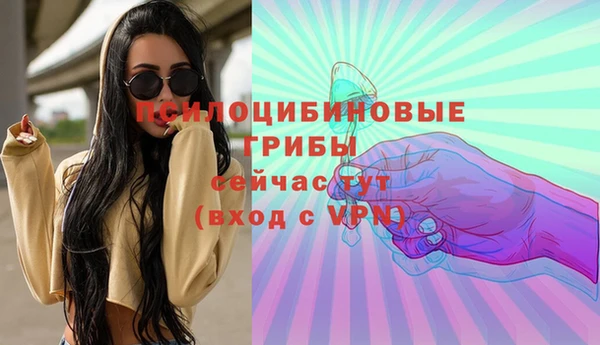 гидра Белокуриха