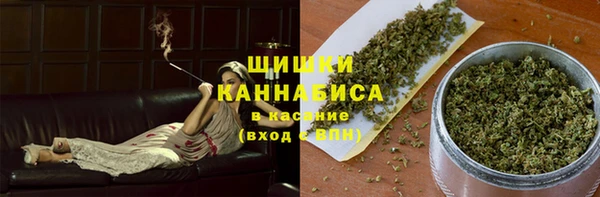 гидра Белокуриха